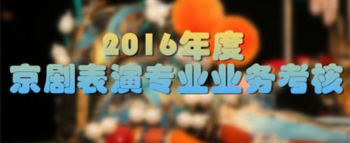 男女啊啊啊啊啊啊啊啊的网站国家京剧院2016年度京剧表演专业业务考...